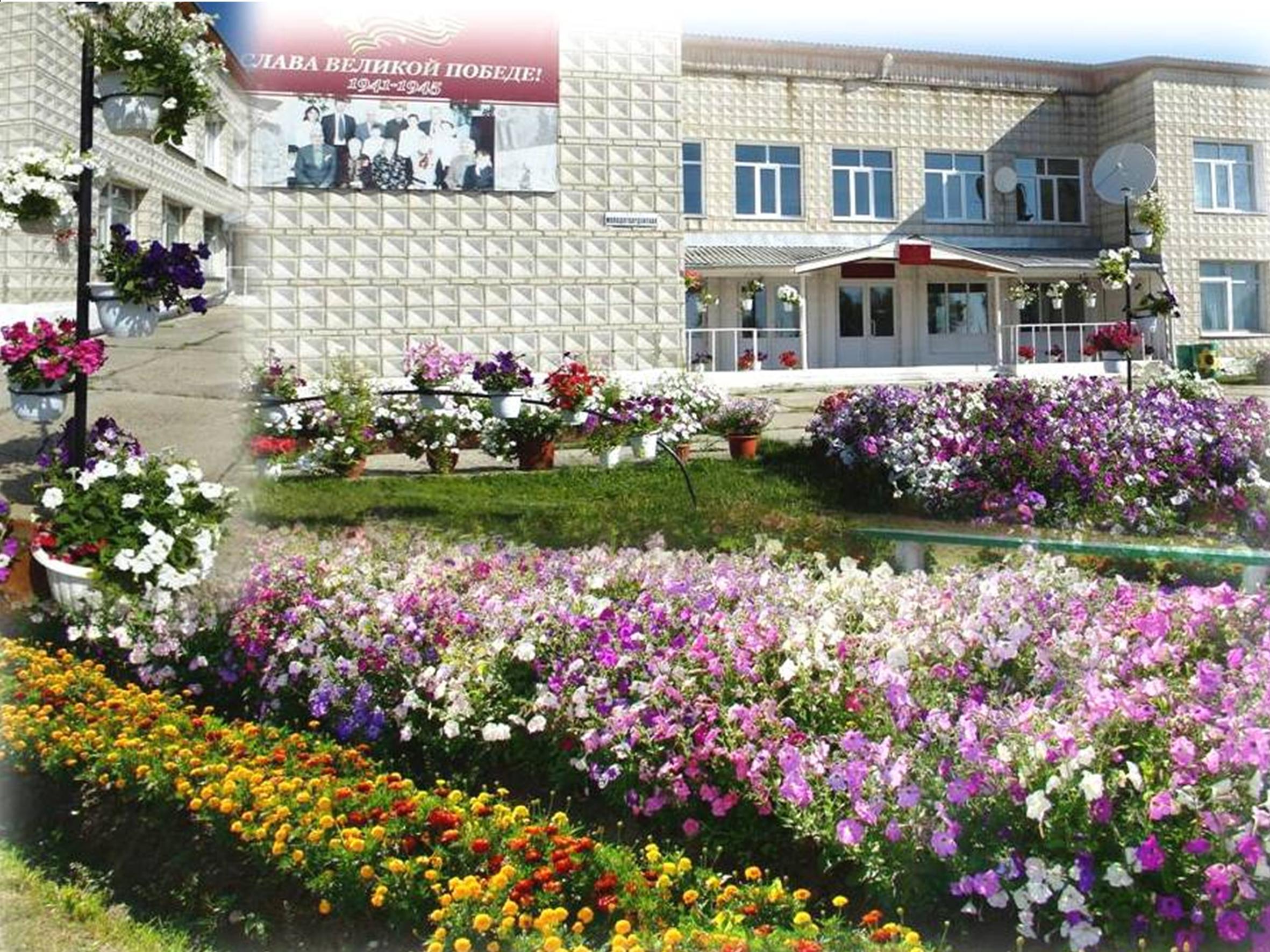 Фотография школы.