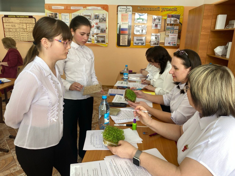 XIV муниципальная научно – практическая конференция «Мой первый проект».